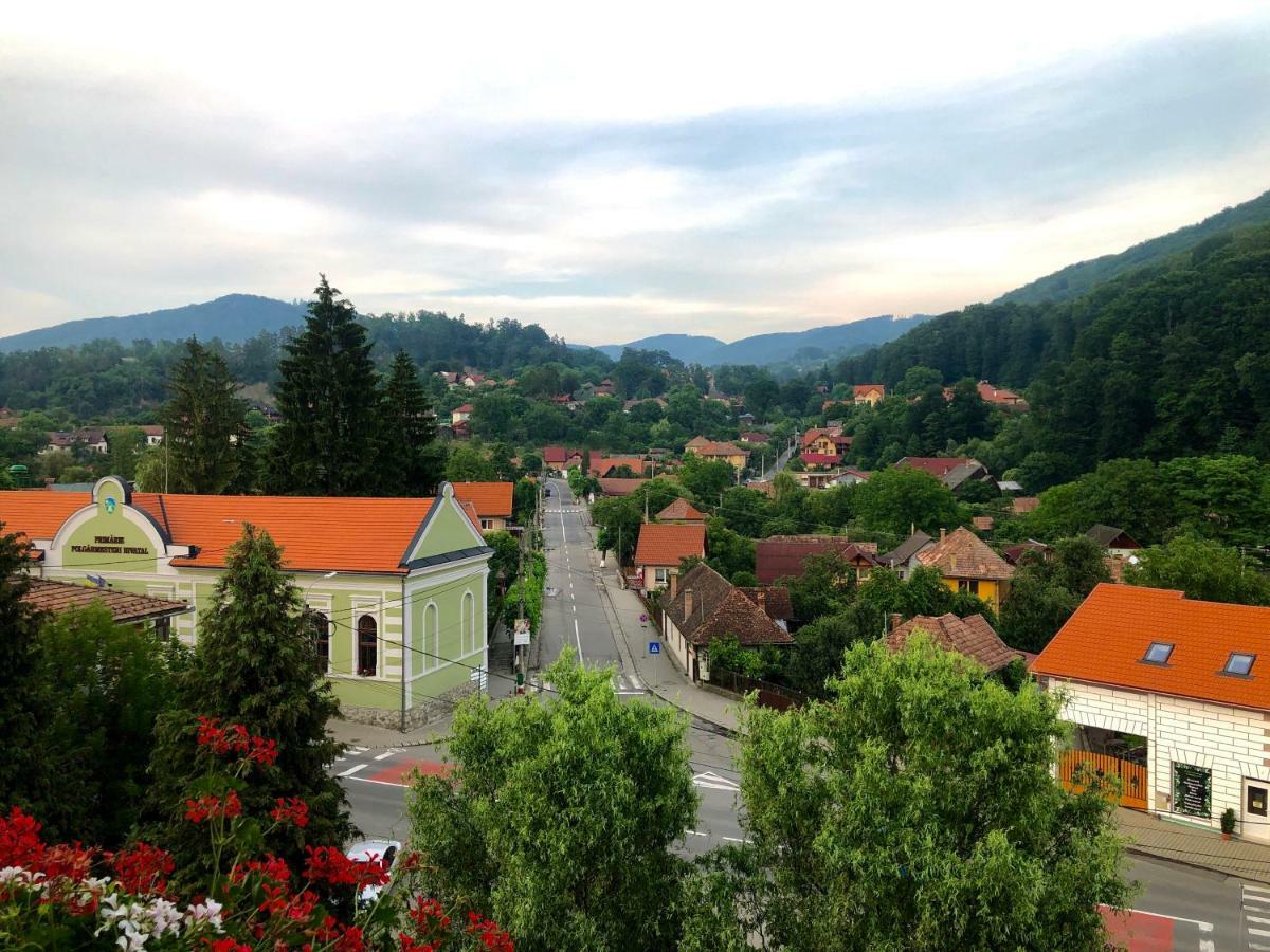 Vila Ursul Negru Sovata Esterno foto